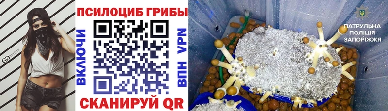 Псилоцибиновые грибы мицелий  omg как войти  Емва 